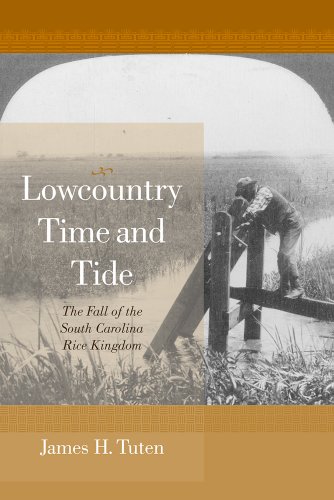 【预订】lowcountry time and tide: the fall of