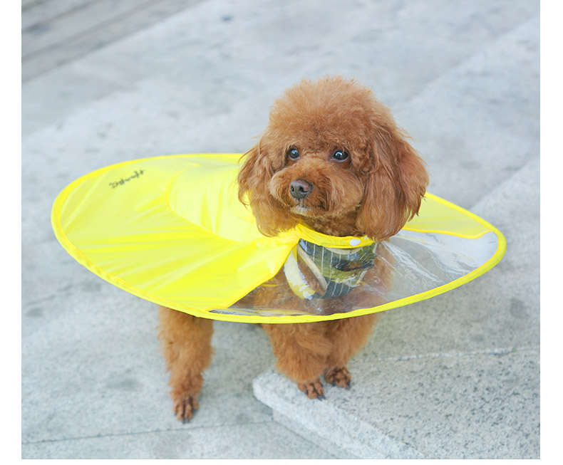 狗狗雨衣飞碟款泰迪比熊衣服四脚防水小型犬小狗雨伞全包衣服宠物雨披