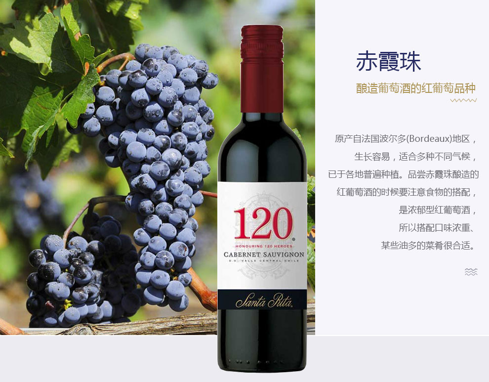 santa rita 桑塔丽塔 圣丽塔120 小瓶红酒 小酒版 赤霞珠干红葡萄酒