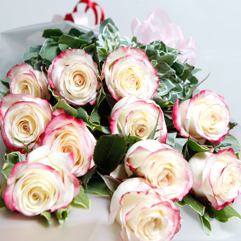 【南美卉】进口厄瓜多尔玫瑰鲜花--甜心小姐!超乎想象的美丽!