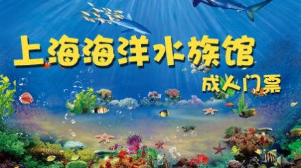 15米68宽的鱼缸能养出好体型红龙吗 乌鲁木齐观赏鱼 乌鲁木齐龙鱼第4张