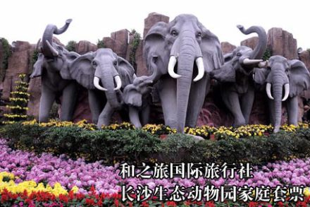 长沙生态动物园旅游_长沙生态动