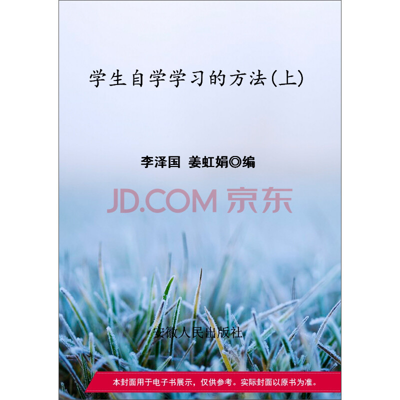 学生自学学习的方法 上 李泽国 姜虹娟 电子书下载 在线阅读 内容简介 评论 京东电子书频道