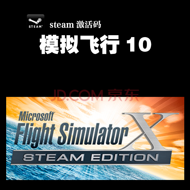 Pc正版steam 微软模拟飞行10 Microsoft Flight Simulator X 国区普通版英语 京东jd Com