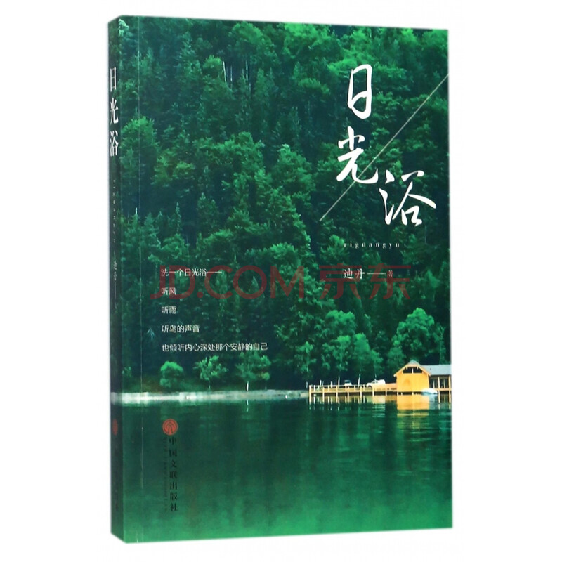 日光浴 迪丹 摘要书评试读 京东图书