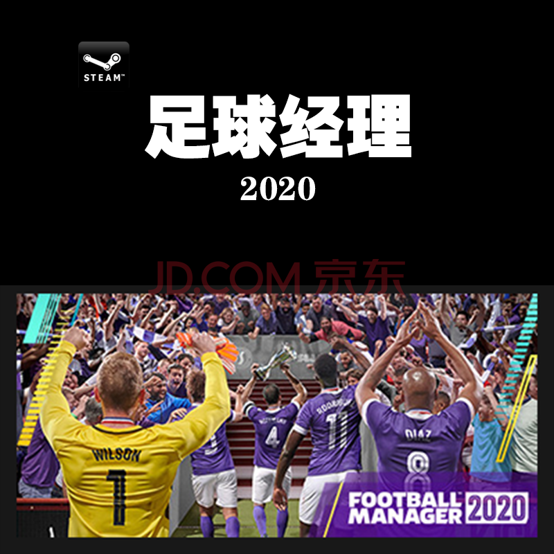 Pc中文正版steam Fm足球经理 Football Manager 简体中文标准版 京东jd Com