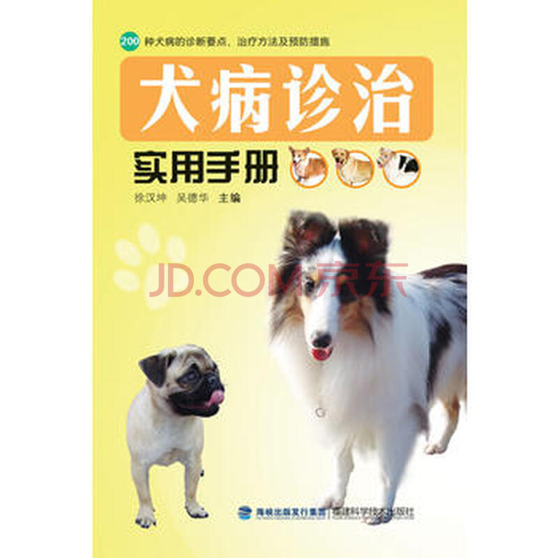 犬病诊治实用手册0种犬病的诊断要点 方法及措施宠物书籍养狗达人手册犬病防治方法 摘要书评试读 京东图书