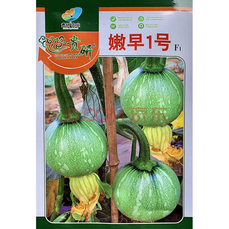 早熟一串铃小青瓜种籽嫩南瓜西葫芦爬藤春夏秋农家阳台蔬菜种子孑嫩早一号5包50克 图片价格品牌报价 京东
