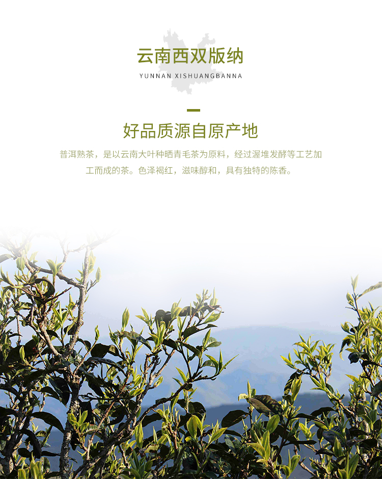 神价 知乎好评 叶铺 LeafMart 勐海普洱熟茶 2016年料 图2