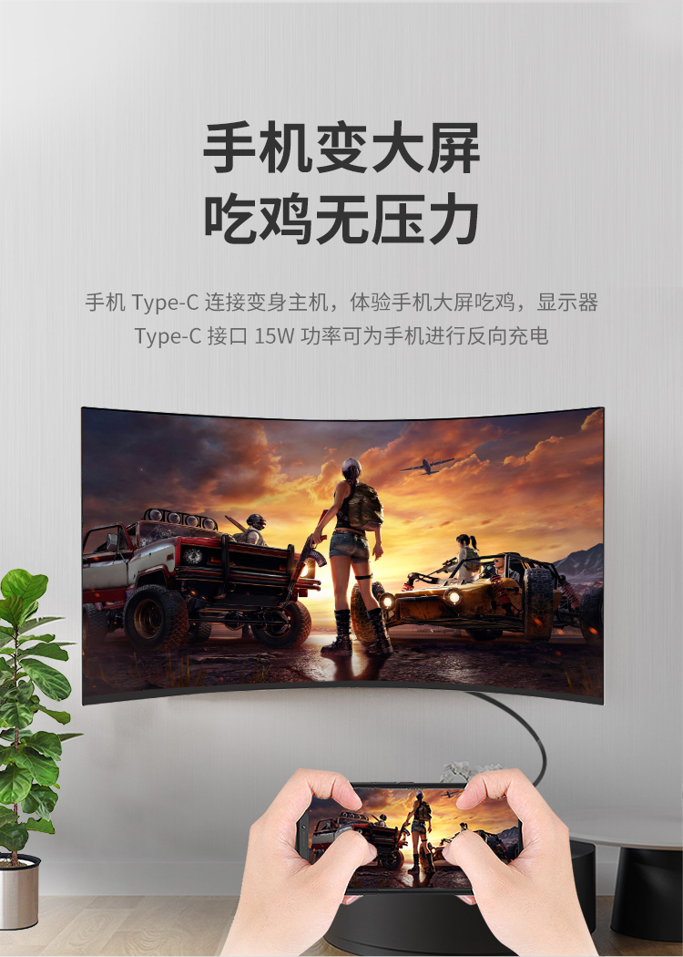 详情页--TYPE-C_04