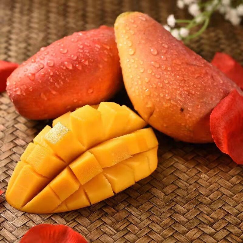 海南芒果特产生鲜树上熟贵妃芒小台芒高档时令当季水果专区3斤贵妃芒