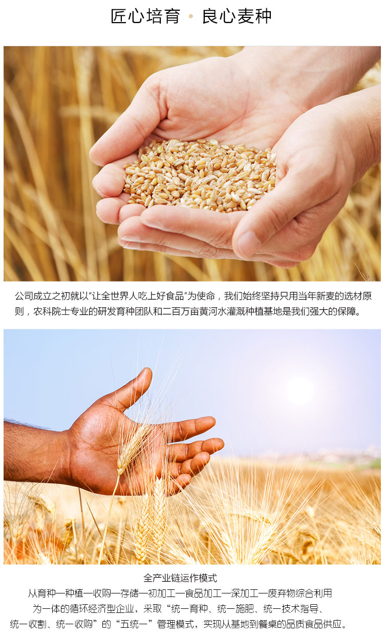 精制小麦粉_06.jpg