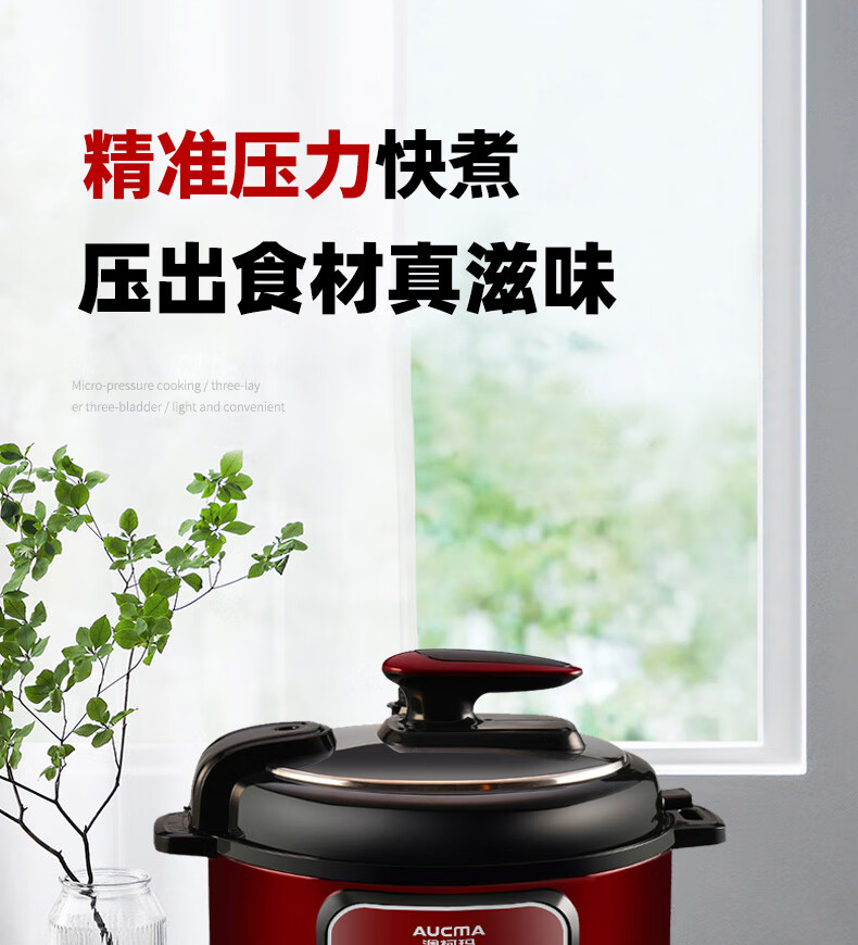 澳柯玛aucma电压力锅akyl602d