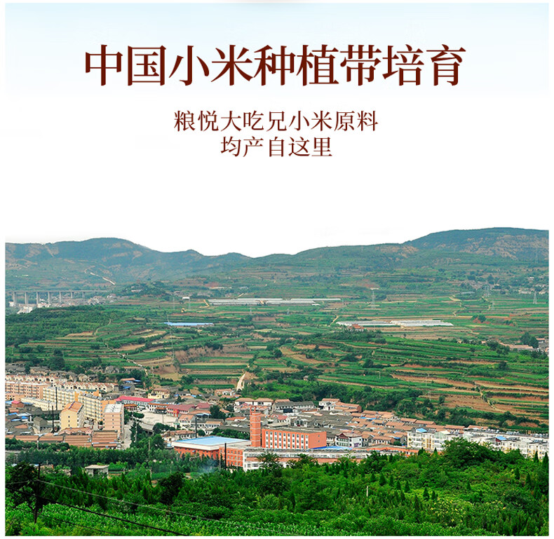 小米锅巴210克_03.jpg
