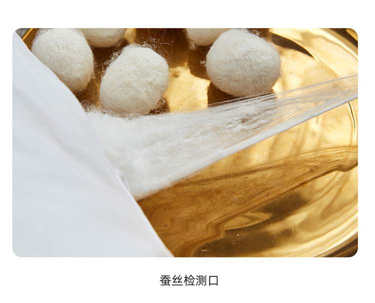 纯棉抗菌大提花蚕丝复合枕750_13.jpg