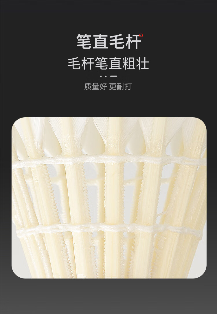 https://www.toonies.cn3-750_10.jpg