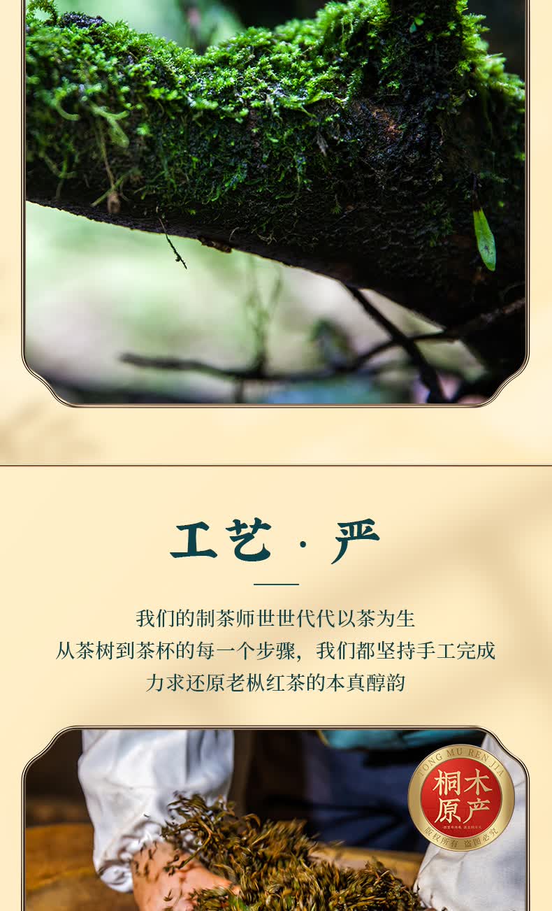 正山桐木百年老枞红茶 新茶武夷桐木关正山小种茶叶罐装散装500g 一斤