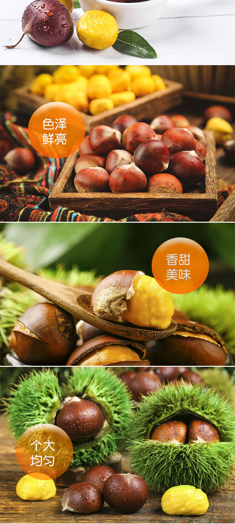 寻味君 丹东板栗生 新鲜油栗子 新鲜蔬菜 严选5斤中果