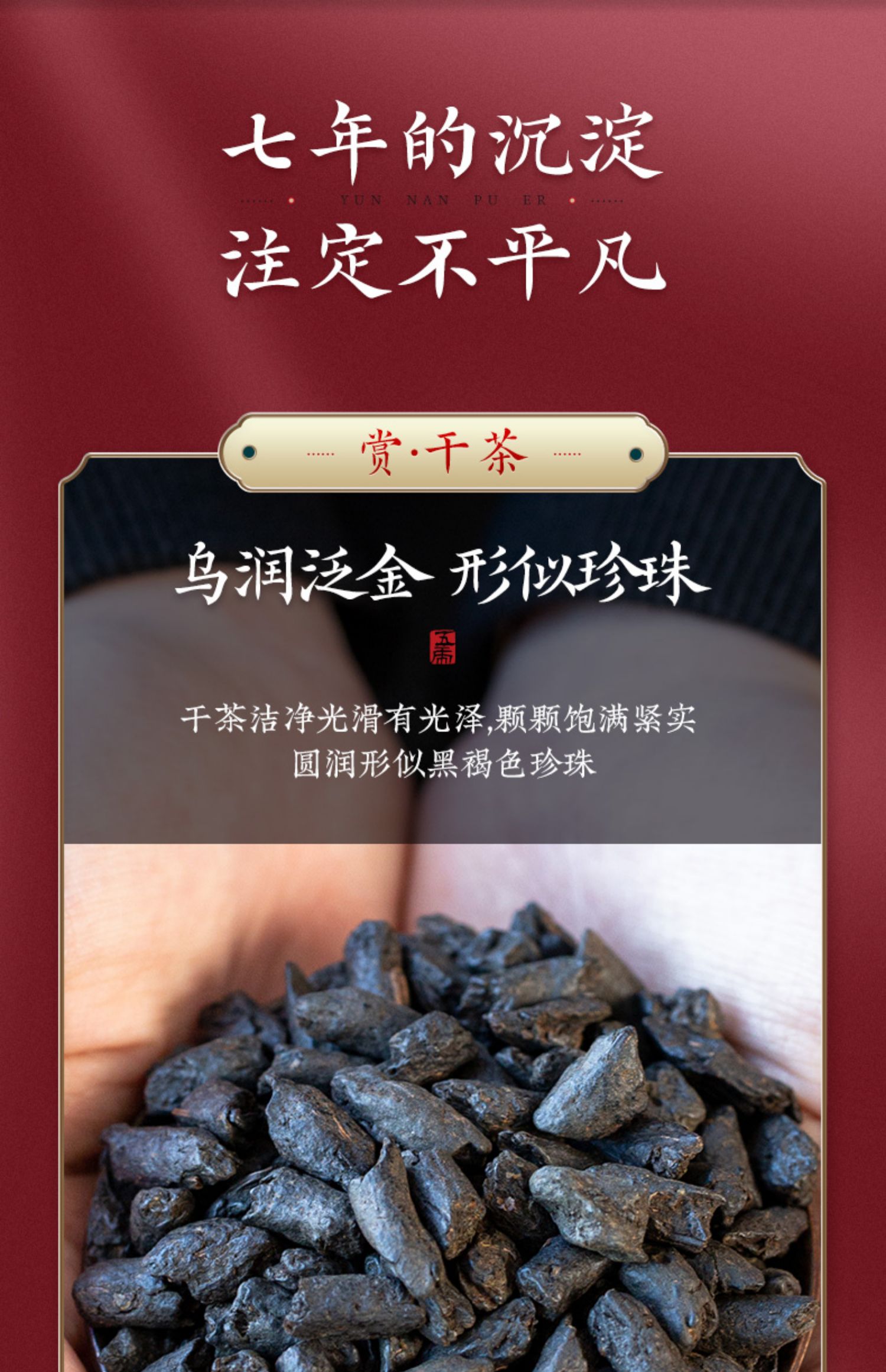 碎銀子化石糯香雲南普洱熟茶陳年古樹茶葉散裝普金子共1400克