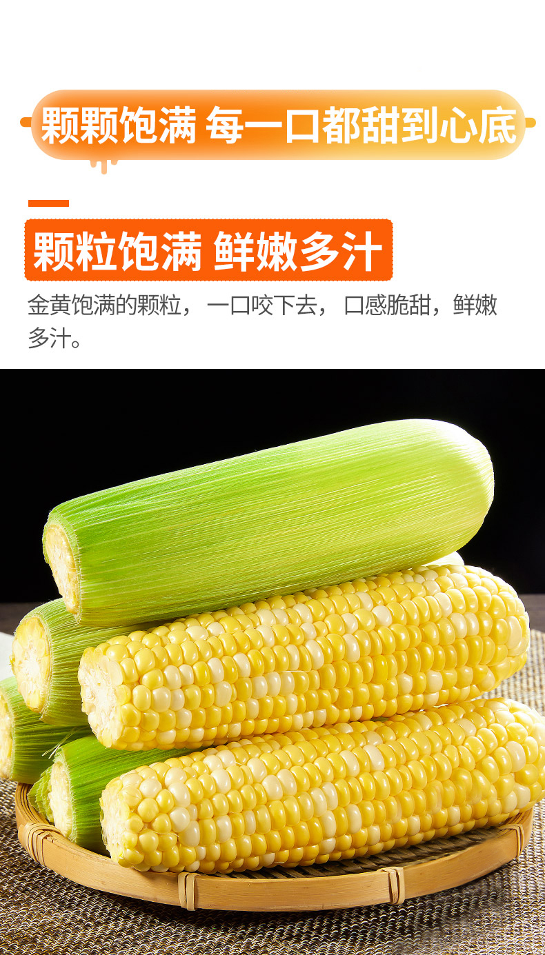 云南金银水果玉米黄白玉米玉米生鲜玉米脆甜爆浆生熟两吃火锅食材9斤