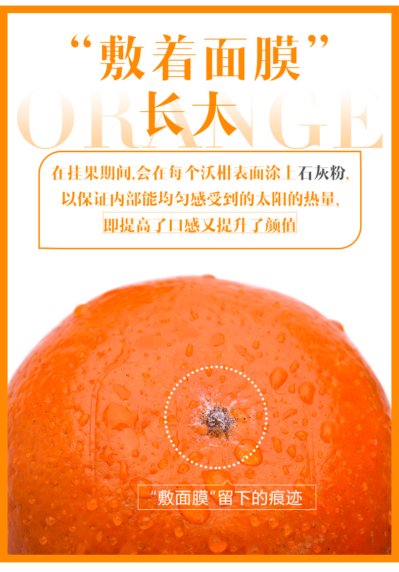 沃柑详情页_03.jpg