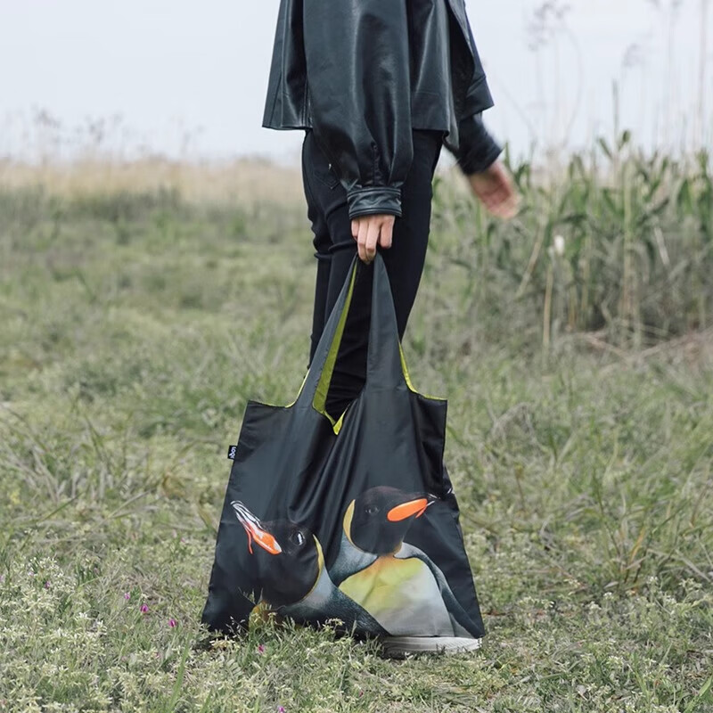 LOQI National Geographic Co-Branded Animal Pattern Lightweight Foldable Eco-Friendly Large Shopping Bag Shoulder Bag 50*42cm 14