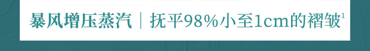 飞利浦巧熨烫机STE0960_05.jpg