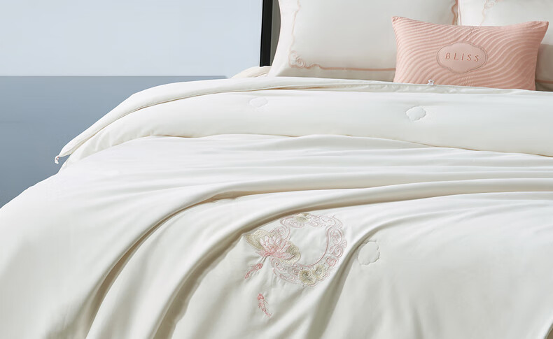 Bellees Home Textile 100% Mulberry Silk Quilt Double-layer 60S Cotton Class A Antibacterial 2-in-1 Quilt 150x210cm 9