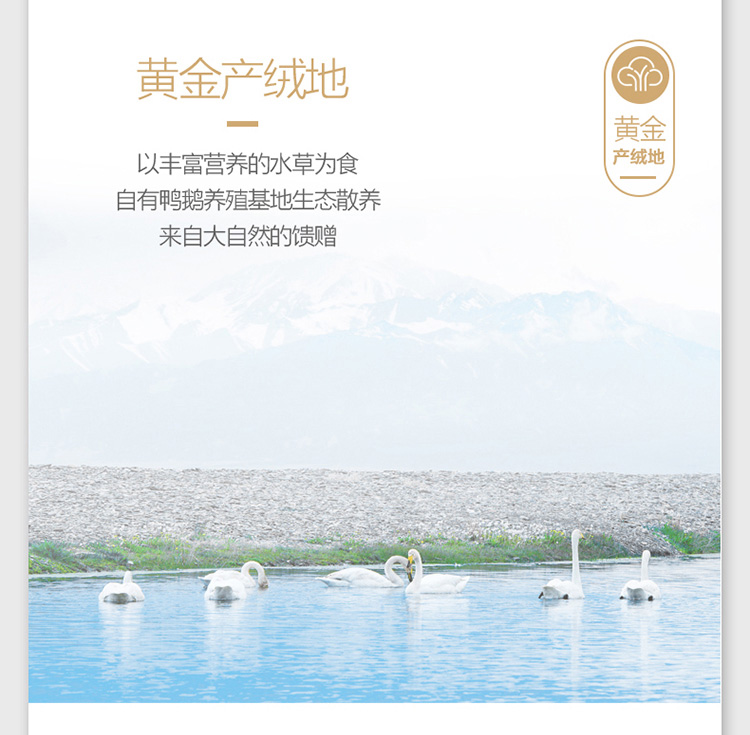 白白白白_06.jpg