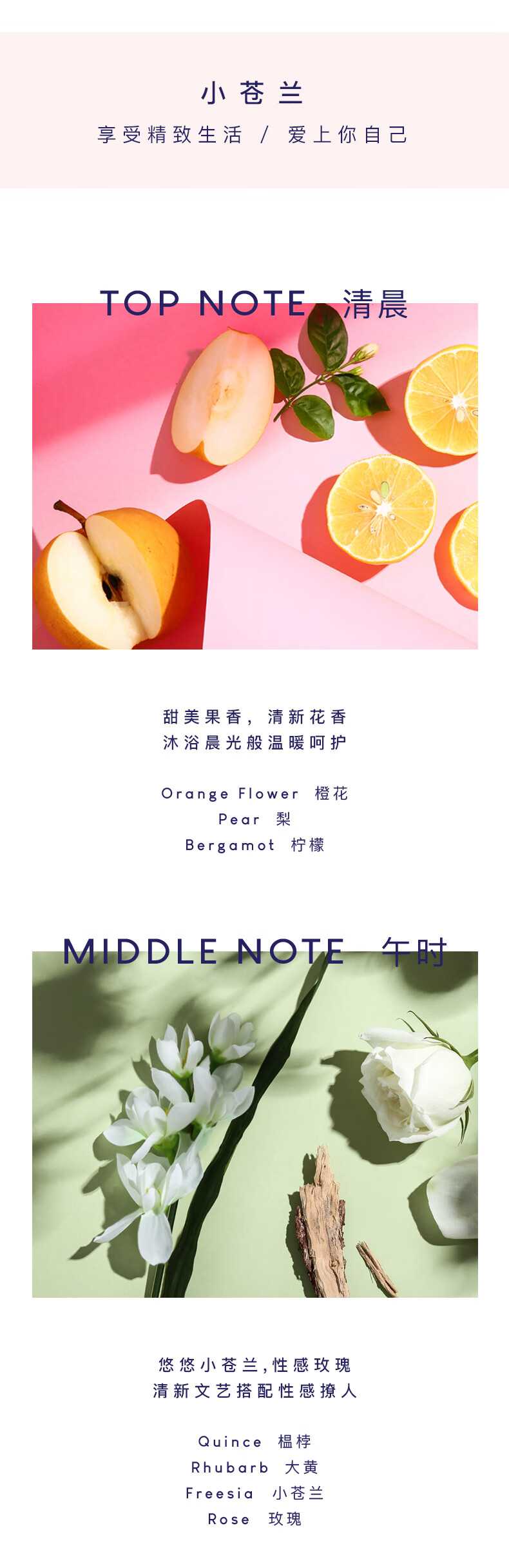 2019-香氛沐浴露透明-500ml_03.jpg