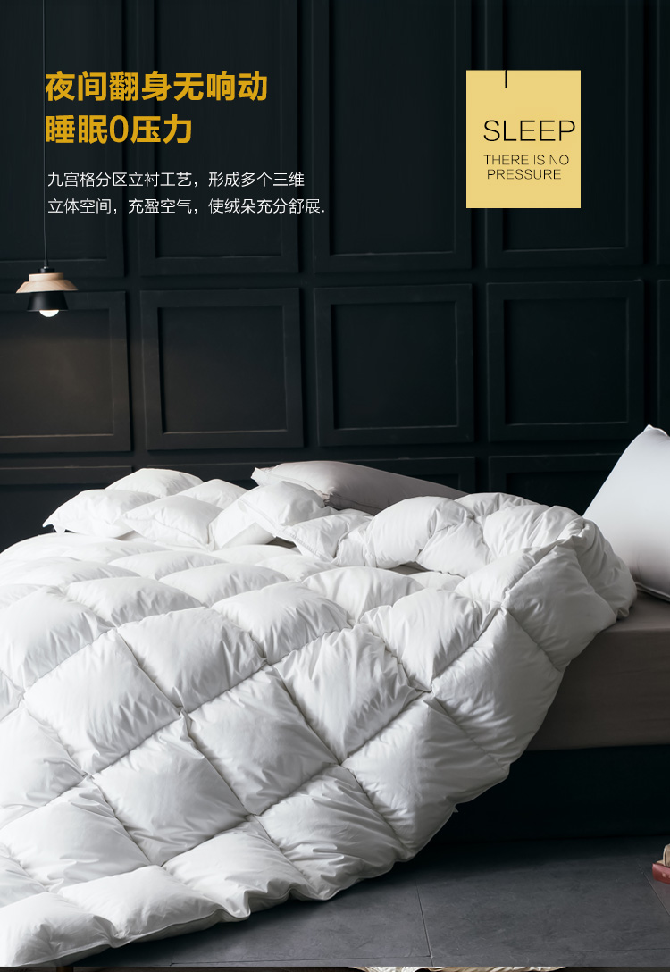 深色_10.jpg