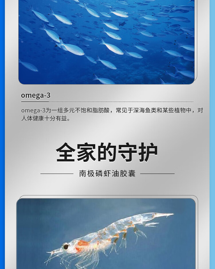 南极磷虾_06.jpg