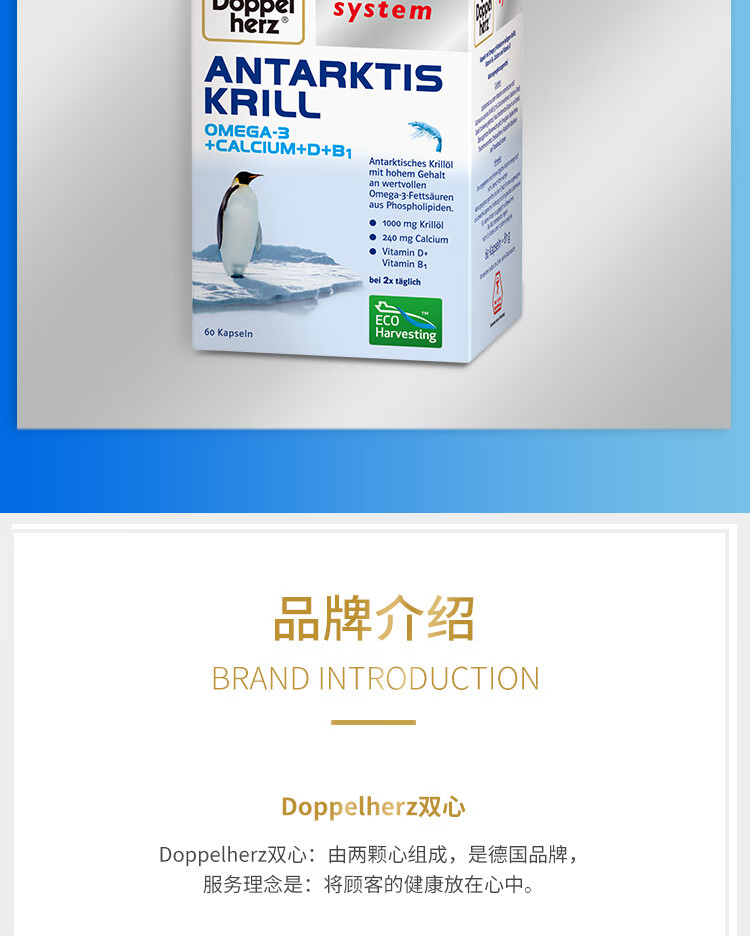 南极磷虾_15.jpg