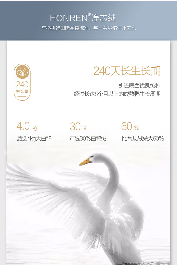 白白白白_06.jpg
