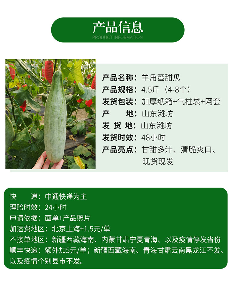 山东羊角蜜甜瓜产地直发蜜瓜新鲜水果香瓜脆甜多汁净重5斤