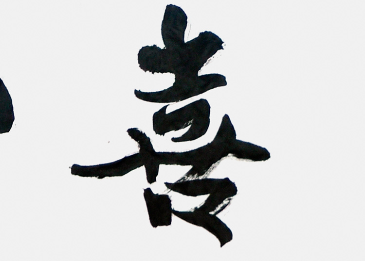 中国书法家协会会员 刘国宝《生欢喜心》4平尺