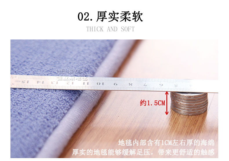 恒亚斯地毯 客厅地毯珊瑚绒浴室地毯茶几卧室飘窗毯定制 紫色 80*160cm