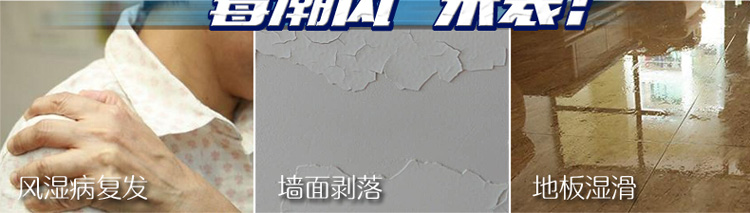 
                                        
                                                            绿驰衣柜衣服可挂式除湿袋 特惠5袋装干燥剂防潮剂 室内房间吸潮桶抽吸湿盒器防霉包（限量）                