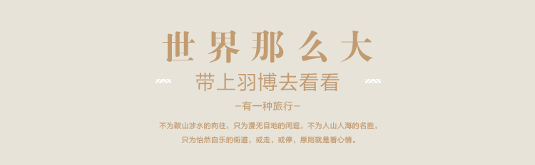 
                                        羽博（ Yoobao）S9大容量充电宝20000毫安移动电源 双输出带LED灯白色 苹果/小米/安卓手机通用                