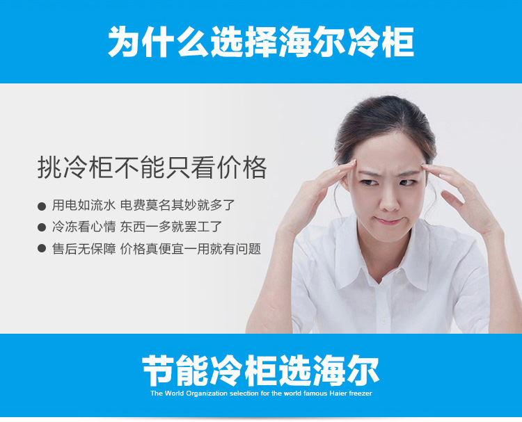 
                                                                                海尔（Haier） 202升家用冷藏冷冻转换冰柜 节能单温冷柜小冰箱 BC/BD-202HT                