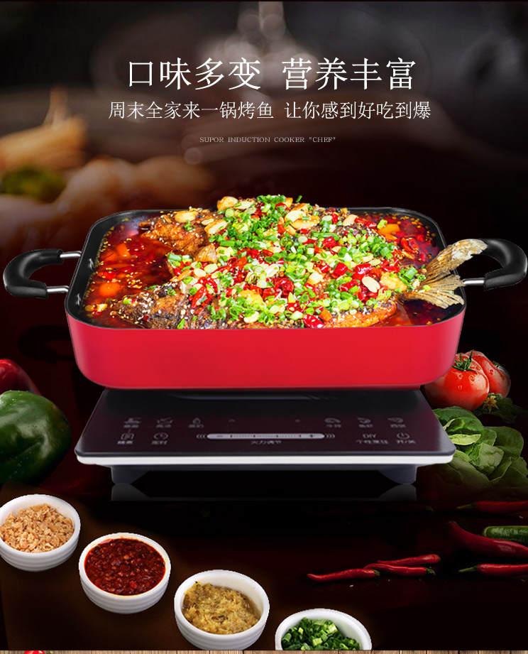 苏波电磁9E35文描_04.jpg