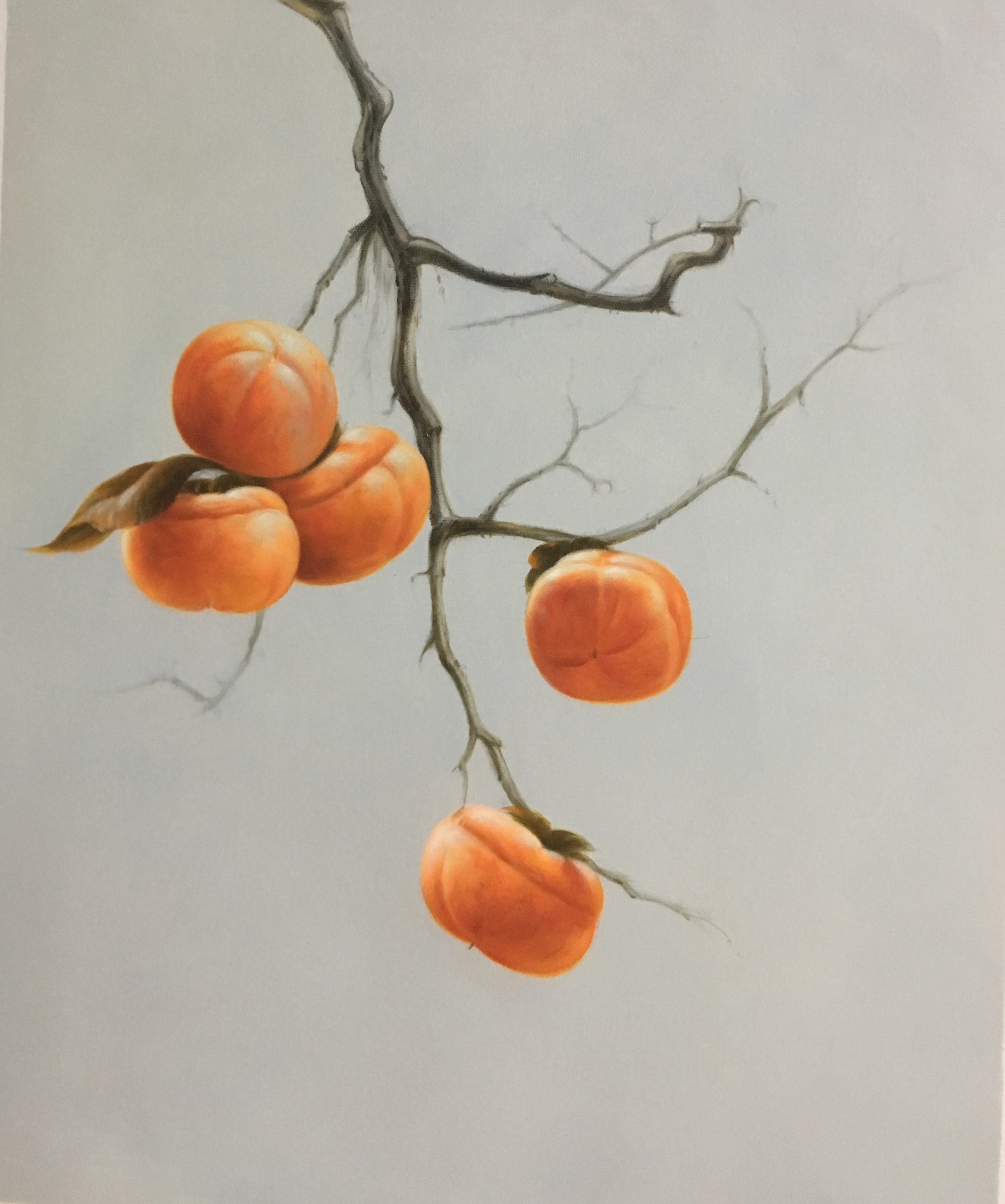 油画柿子的画法图片