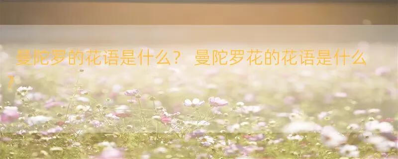 曼陀罗的花语是什么？ 曼陀罗花的花语是什么？