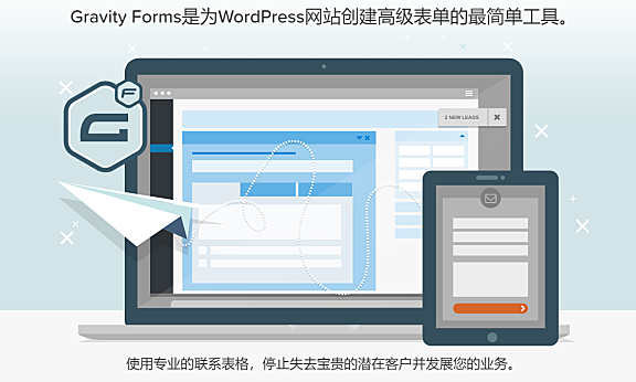 「WP插件」 Gravity Forms v2.4.15.6 专业版+破解+中文汉化 【已更新】 