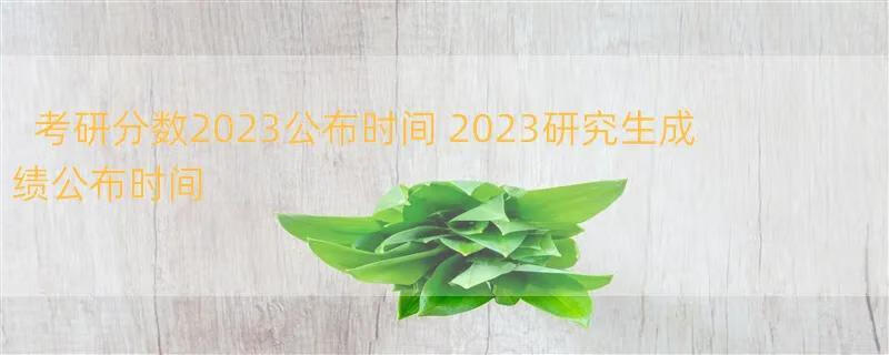 考研分数2023公布时间 2023研究生成绩公布时间