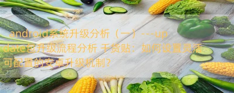 android系统升级分析（一）---update包升级流程分析 干货贴：如何设置灵活可配置的安卓升级机制？