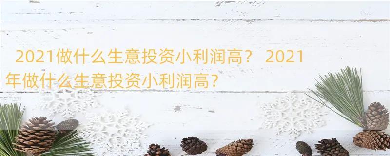 2021做什么生意投资小利润高？ 2021年做什么生意投资小利润高？