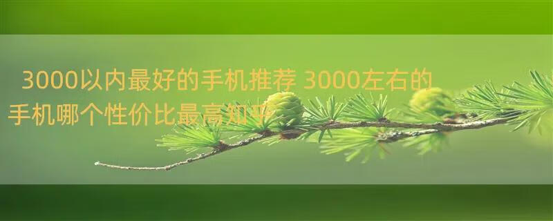 3000以内最好的手机推荐 3000左右的手机哪个性价比最高知乎