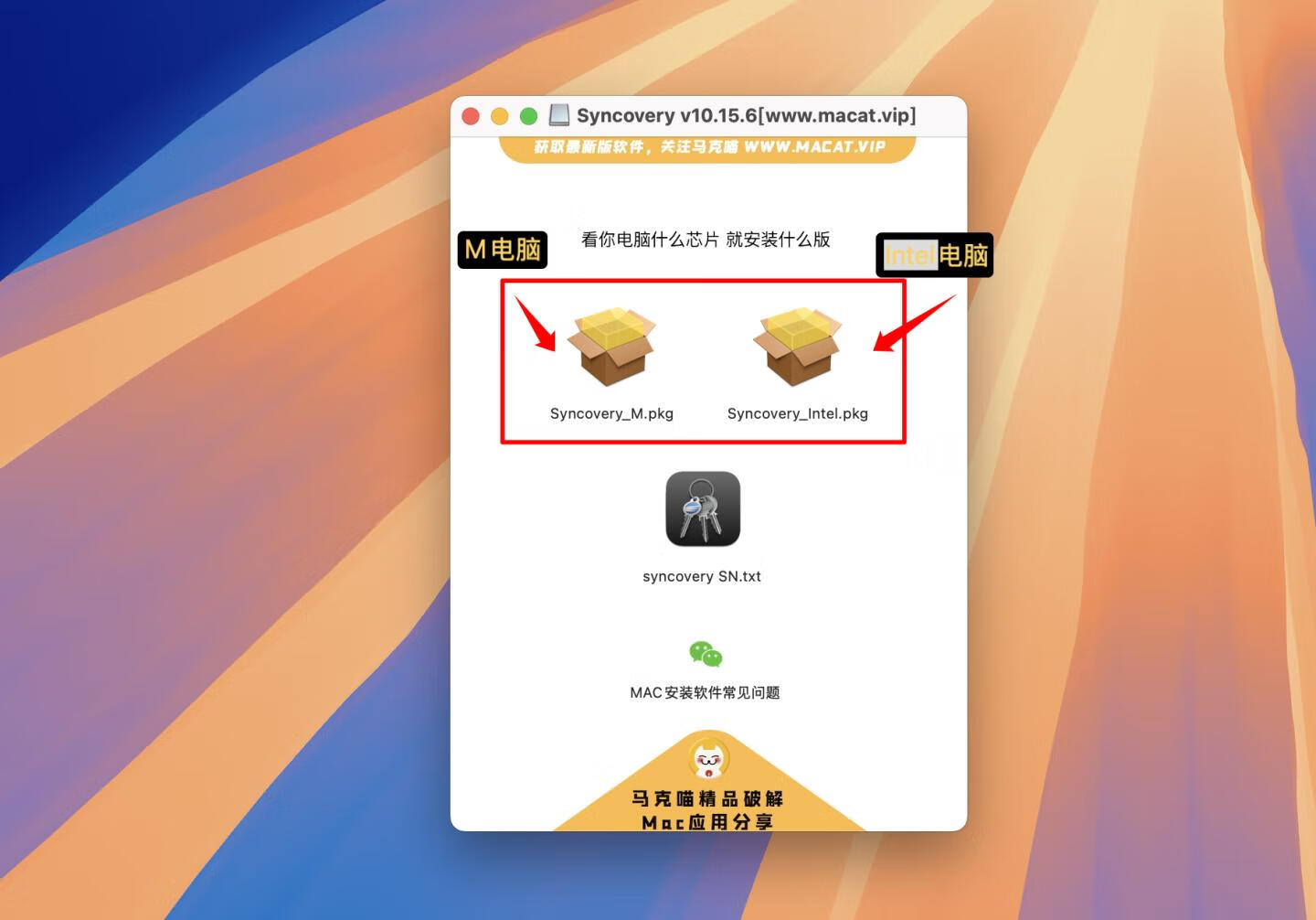 Syncovery for mac v10.15.6激活版 文件备份和同步工具