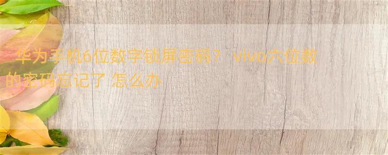 华为手机6位数字锁屏密码？ vivo六位数的密码忘记了 怎么办